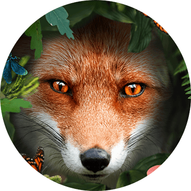 fyksin - unser Antrieb